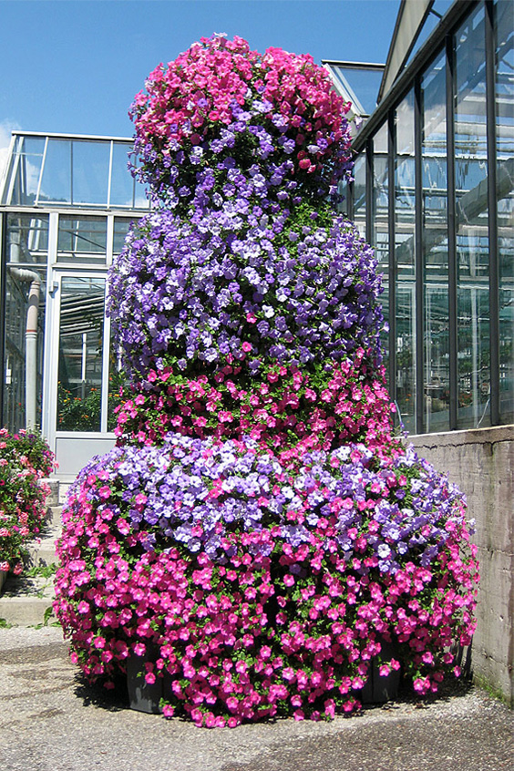 Orchideenkomposition, Bild 1