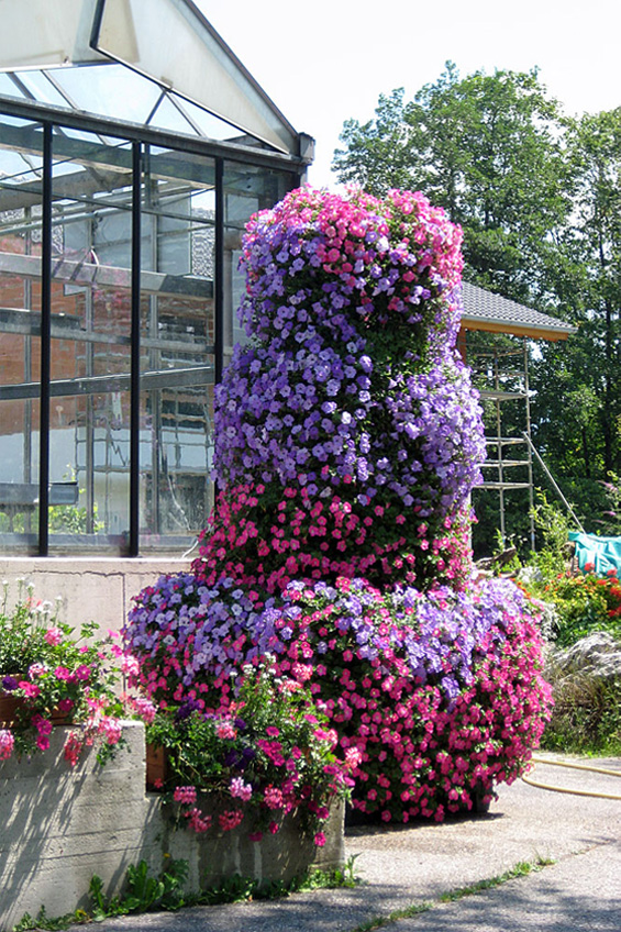 Orchideenkomposition, Bild 3