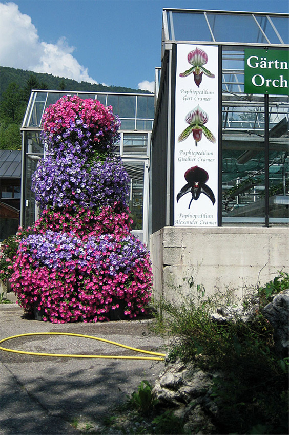 Orchideenkomposition, Bild 4